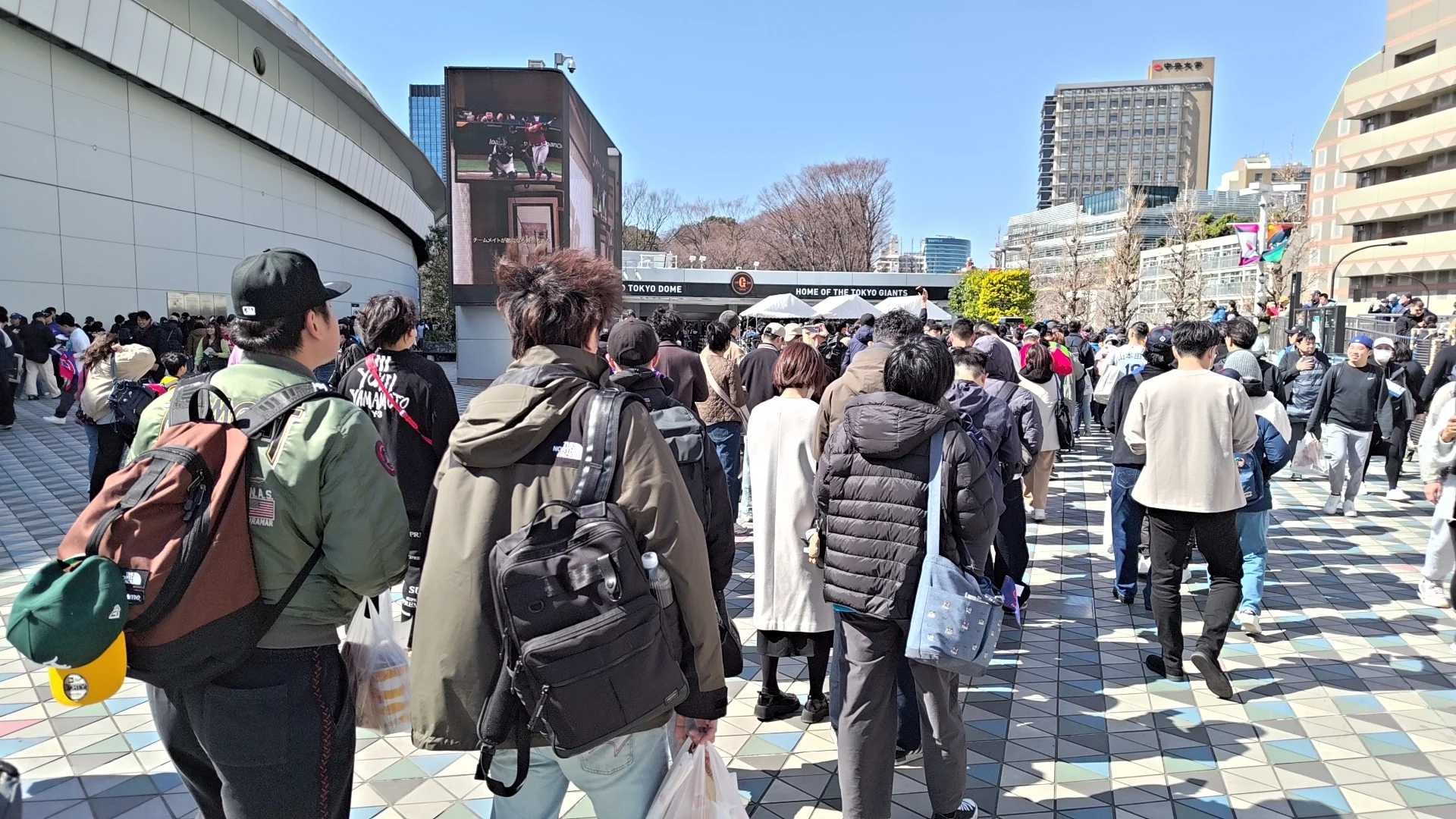 台澳戰 給朋朋吃吃